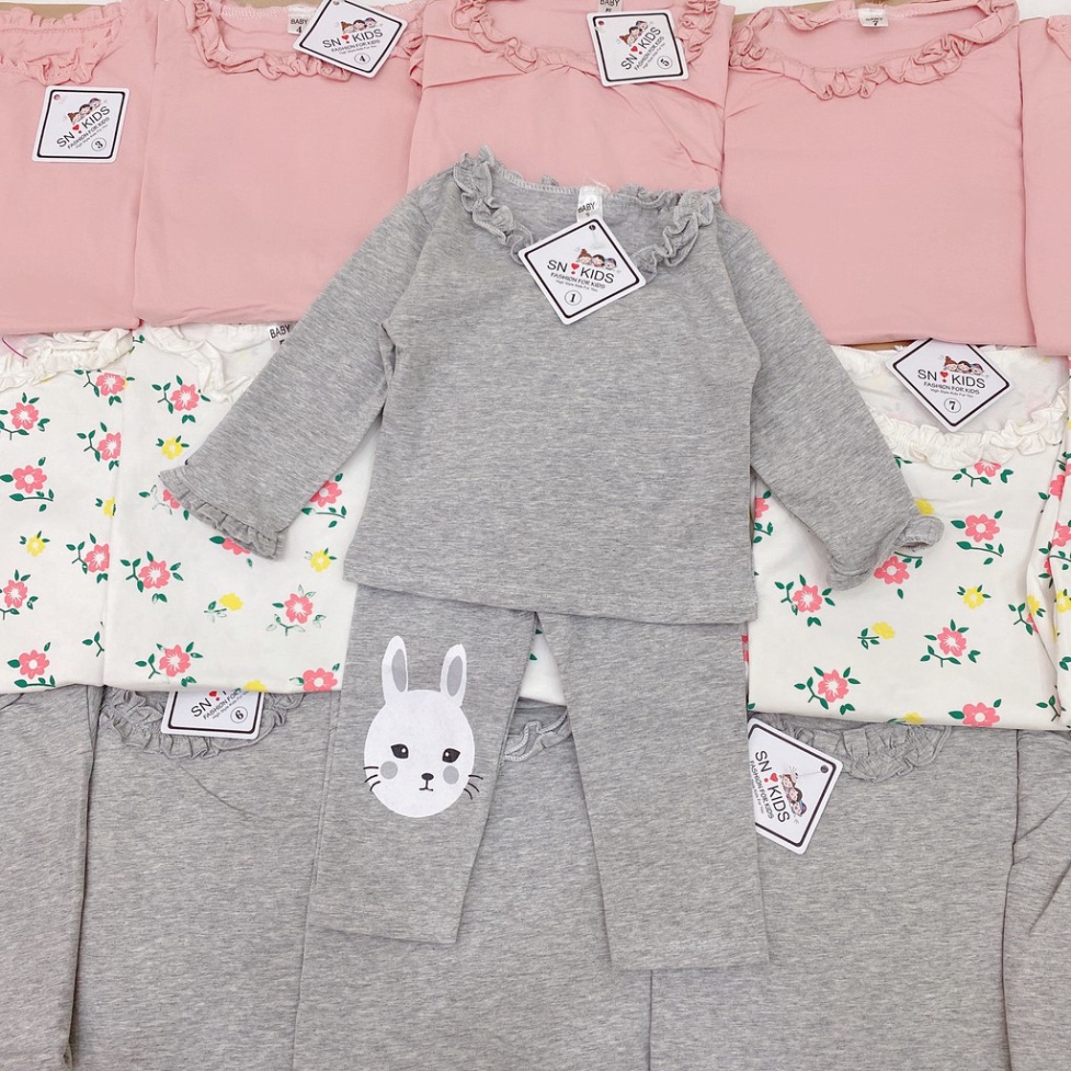 Bộ Quần Áo Dài Tay Mùa Thu In Hình Hoa Ren Cổ Xinh Xắn Vải Cotton Cho Bé Từ 6-16kg Mã DT16