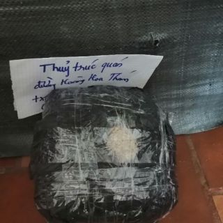 1kg dớn mềm trồng lan
