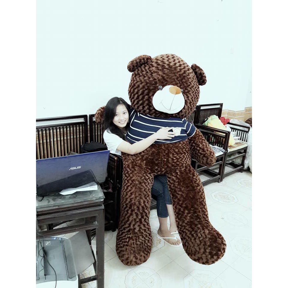 Gấu bông Teddy cao cấp - Khổ vải 1,6m cao 1,4m màu cafe -TD1m4