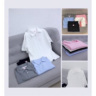 Áo thun có cổ: POLO BASIC VSTYLE. kĩ
