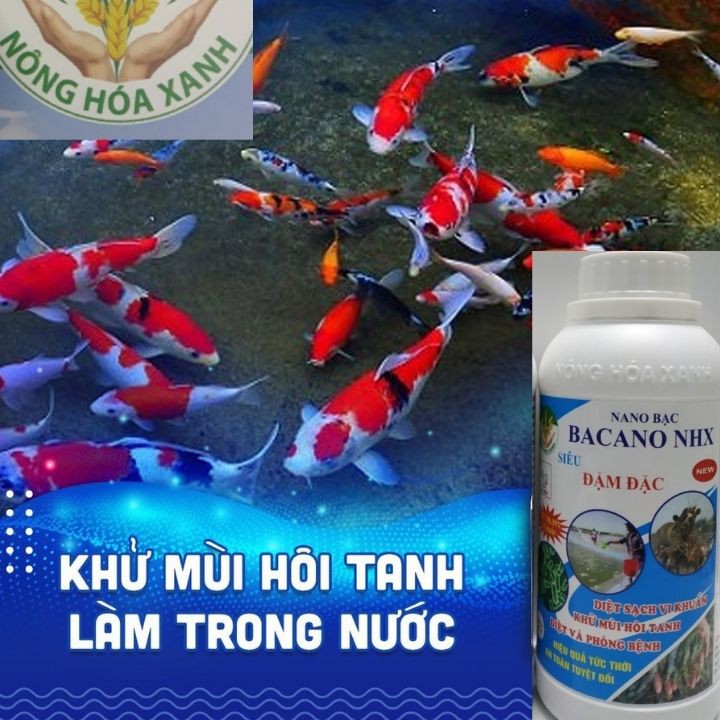 Thuốc xử lý nước cho hồ cá, bể cá cảnh, xử lý nước trồng thủy sản, diệt khuẩn nước ao cá