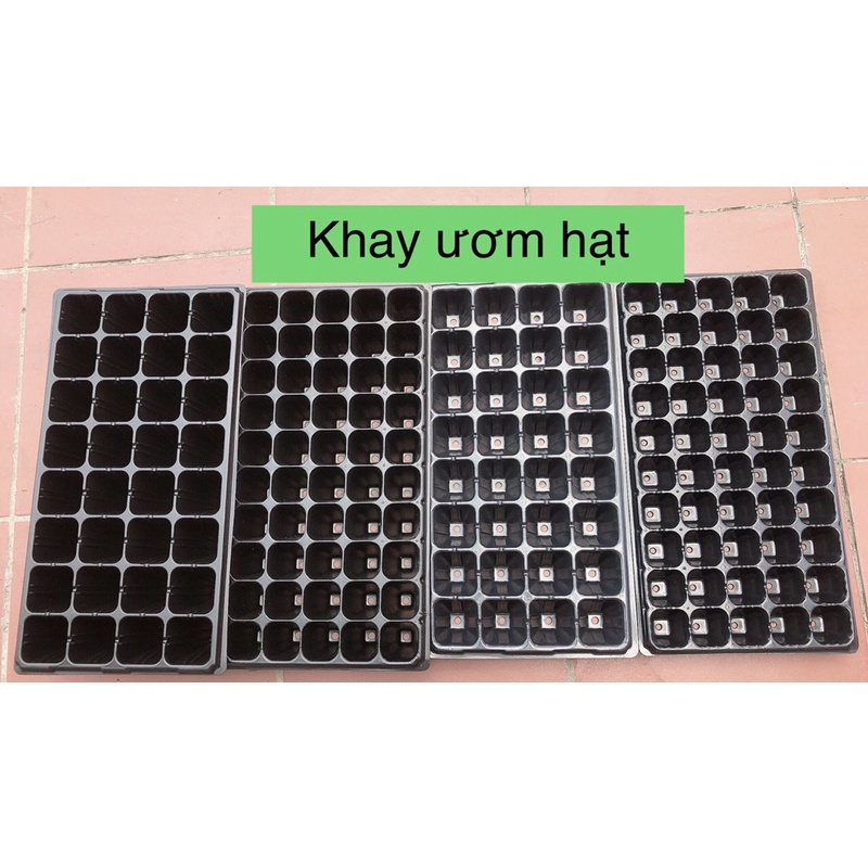 khay ươm hạt 50 lỗ ( miệng 4,8 cao 4.8cm)- Hàng dày loại 1