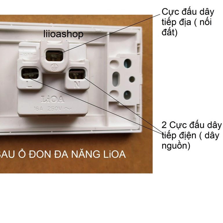 Ổ ĐƠN ĐA NĂNG LiOA VUÔNG .