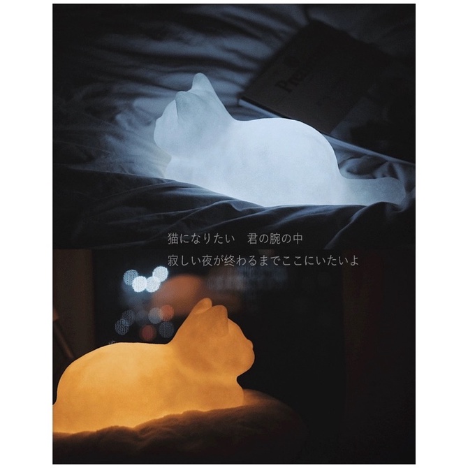 Đèn Ngủ Mèo Dễ Thương Giá Xưởng, Đèn Mèo Trang Trí