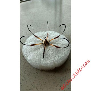 Lưỡi câu lục { rẻ vô địch }