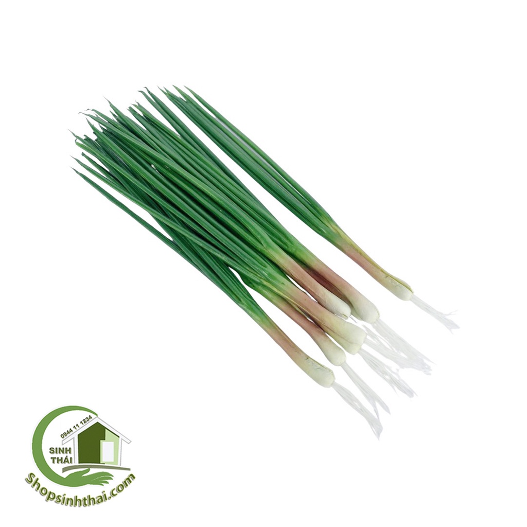 Cây hành lá giả - Rau củ quả giả cao cấp
