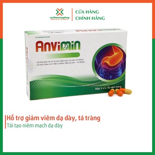 Viên dạ dày ANVIMIN (30 viên) – Hỗ trợ giảm viêm dạ dày, tá tràng, tái tạo niêm mạch dạ dày