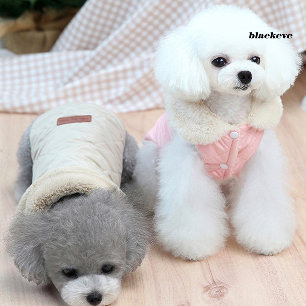 Áo khoác giữ ấm màu sắc xinh xắn dành cho thú cưng