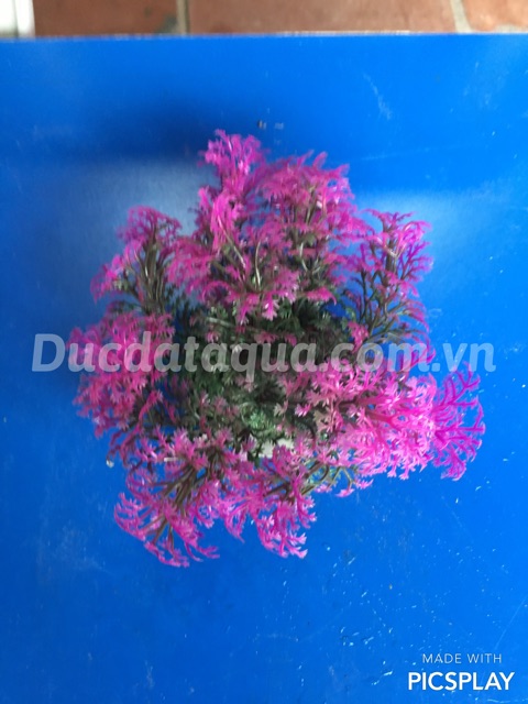 Cây nhựa hoa nhựa trang trí nội thất , bể cá