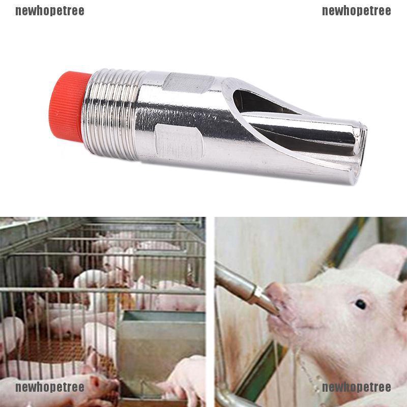 Vòi Uống Nước Tự Động Bằng Thép Không Gỉ