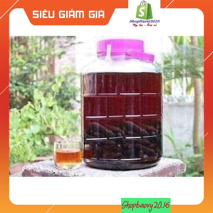 1kg Quả chuối hột rừng Tây nguyên 🍀FREESHIP🍀Nguyên Quả Phơi Khô Tự Nhiên Chuẩn 100% | BigBuy360 - bigbuy360.vn