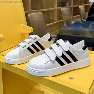 Giày bata trắng quai dán phong cách trẻ trung cho nữ