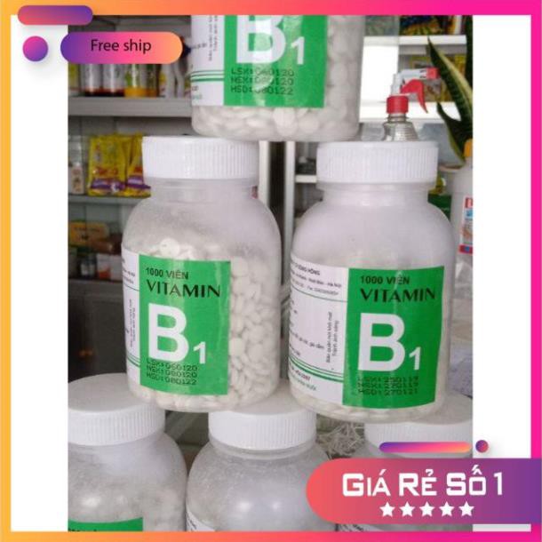 [Ban si] Vitamin B1 1000v dành cho thú y