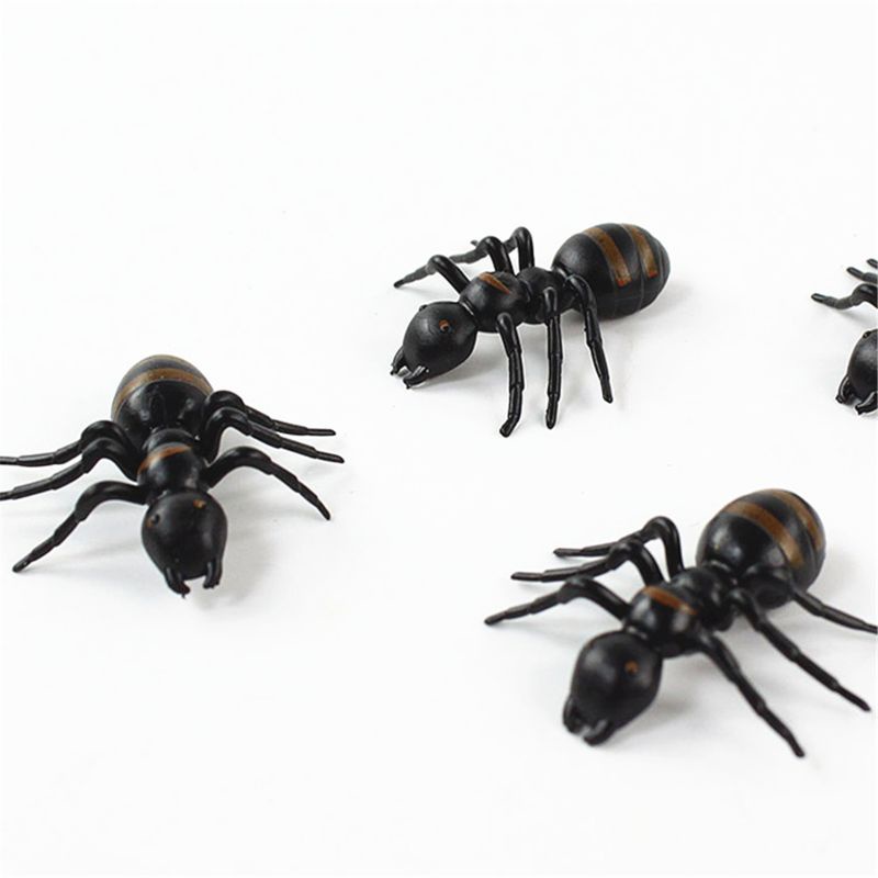 Mô Hình Côn Trùng Mô Phỏng Kiến Cho Bò Sát Tương Tác 30