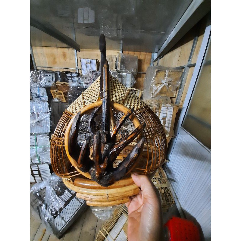 LỒNG GÁY CỬA CÂY ĐẸP