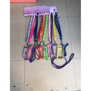 Dây dắt chó mèo [kèm vòng cổ]