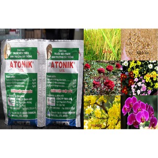 Bộ 2 gói thuốc kích thích sinh trưởng ATONIK 1.8SL 10ml