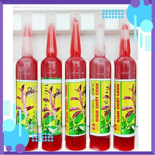 1 Ống thuốc Kích Ra Rễ Giâm Chiết Cành MĐ-901 .