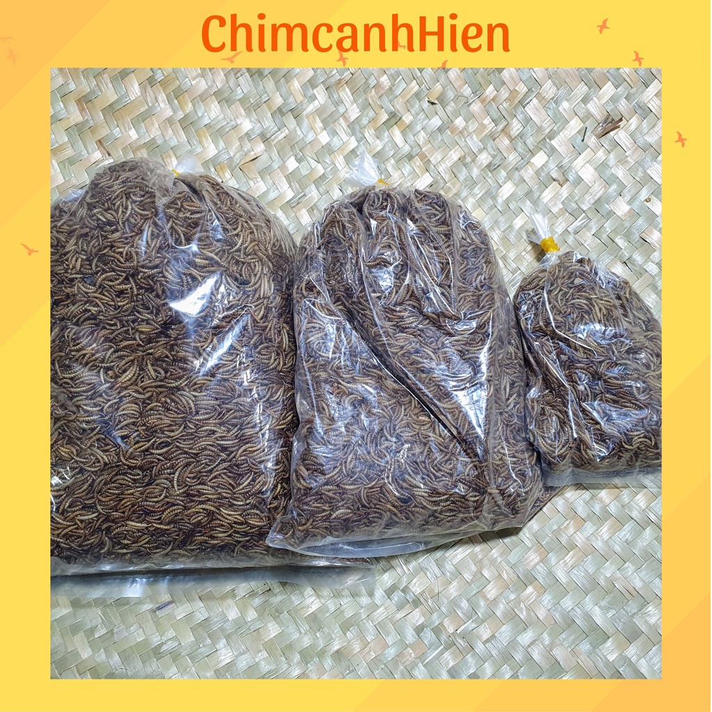Sâu khô giàu đạm cho hamster, chim cảnh