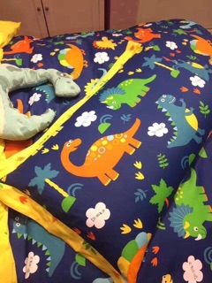 Set chăn ga gối cotton poly khủng long