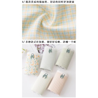 HÈ Quần chip cotton >> 💯 ་ new , ) !