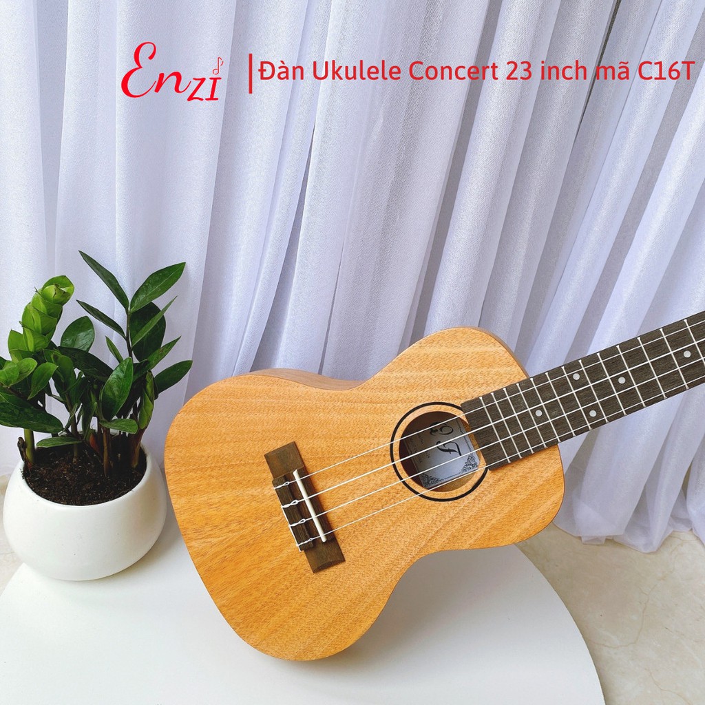 Đàn ukulele size 23 concert Enzi C12D gỗ chất lượng có chốt đàn, âm thanh chuẩn cho người mới bắt đầu