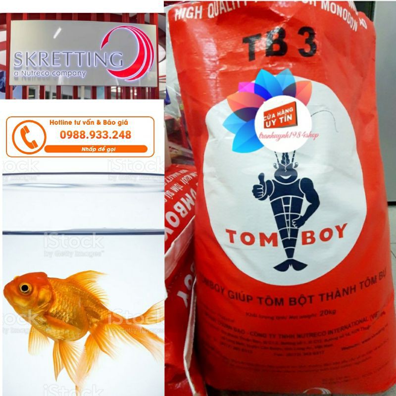 Cám TOMBOY TB3 dành cho cá Cảnh, cá Betta, cá ăn tầng đáy