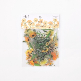 Set 40 Sticker Trang Trí Dễ Thương