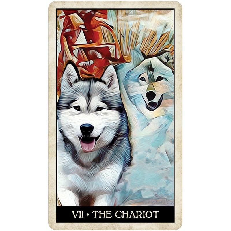 Bộ Bài Wise Dog Tarot (Mystic House Tarot) - Bài Gốc Authentic Chính Hãng 100%