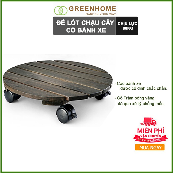 Đế lót chậu cây có bánh xe, hình tròn, màu đen, bằng gỗ, chịu lực 80kg, R30xC8cm |Greenhome