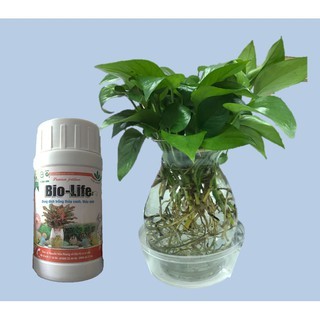 BioLife 100ml- Dinh dưỡng cho cây trồng thủy canh, thủy sinh <://:>