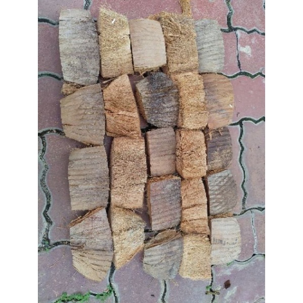 VỎ DỪA BẢN TO CÓ NHIỀU LOẠI.TRỒNG HOA LAN..9K..500G.sỉ inbox giá hấp dẫn