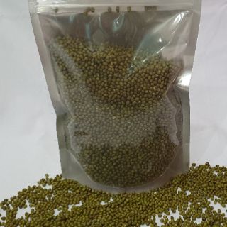 Đậu xanh hột loại 1