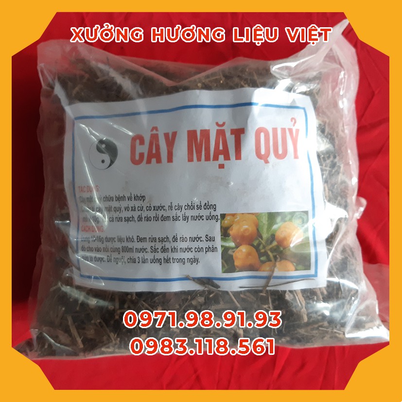 [GÍA TẠI VƯỜN] 1KG CÂY MẶT QUỶ CHỮA MẨN NGỨA MỤN NHỎ RÔM SẨY CHO NGƯỜI LỚN VÀ TRẺ NHỎ (SẠCH - BỔ - RẺ)