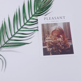 Phụ kiện chụp ảnh - đạo cụ chụp ảnh lá dừa thưa