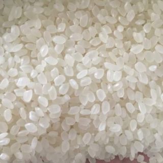 10kg gạo giống nhật Japonica