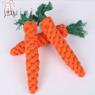 Củ cà rốt tết thừng cho chó mèo