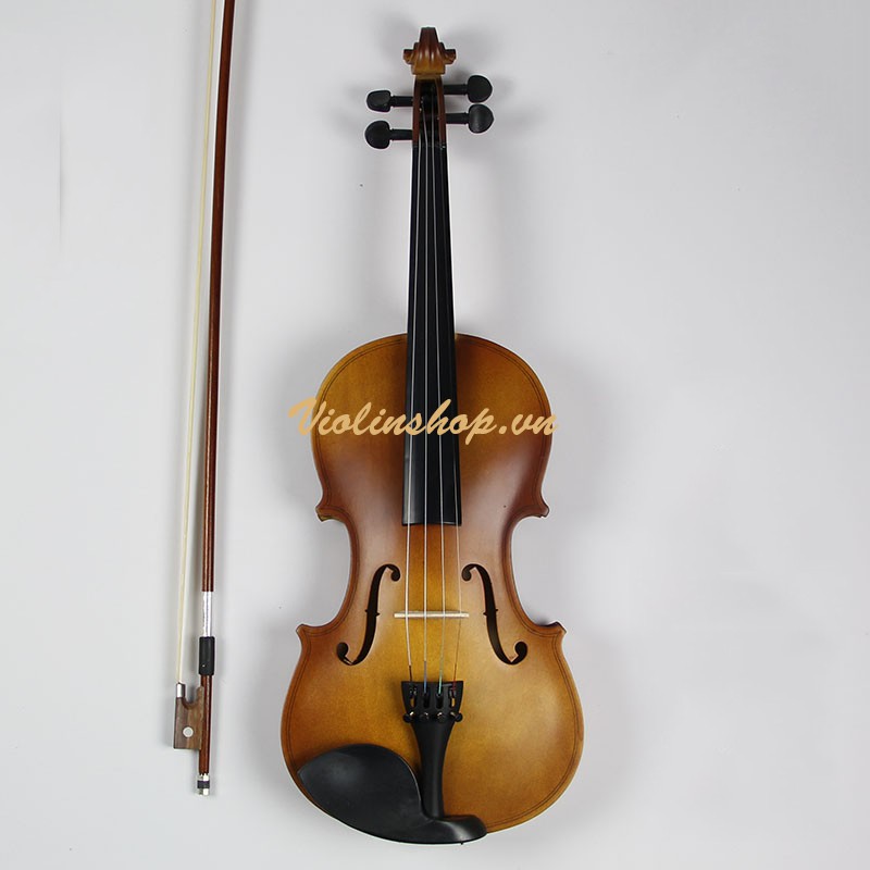 Violin Giá Siêu rẻ