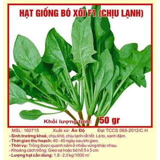 Hạt giống Rau bó xôi