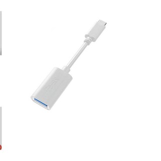 Cáp chuyển đổi usb-c 3.1 male type c sang usb 3.0 aar000265-b