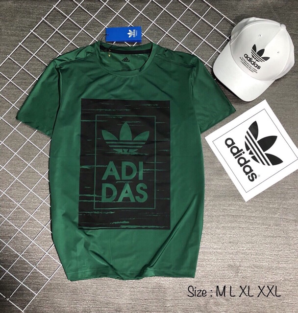 ALBUM 100 - ÁO THUN VNXK THỂ THAO CAO CẤP NHIỀU MÀU | BigBuy360 - bigbuy360.vn