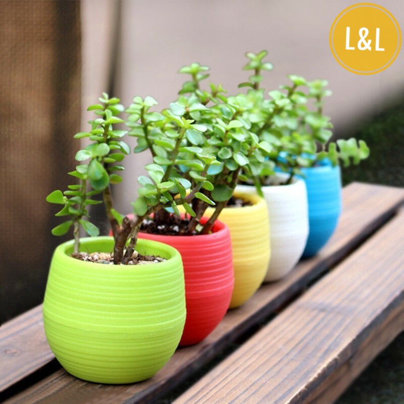 Chậu cây, chậu hoa  nhựa nhiều màu sắc trang trí nhà cửa văn phòng, bàn làm viêc, phòng khách siêu bền đẹp