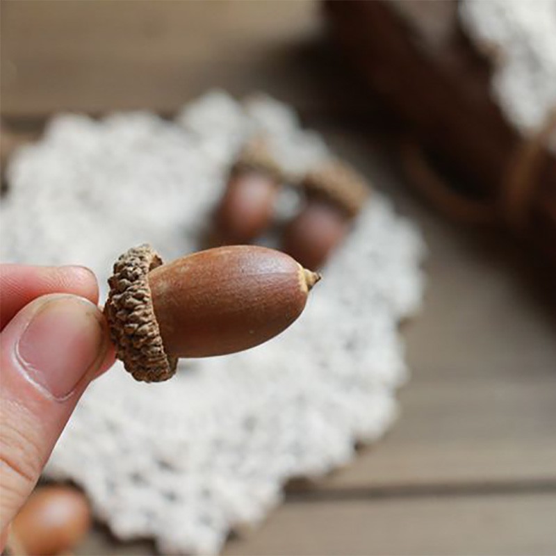 Hạt sồi mô phỏng (Loại 1)