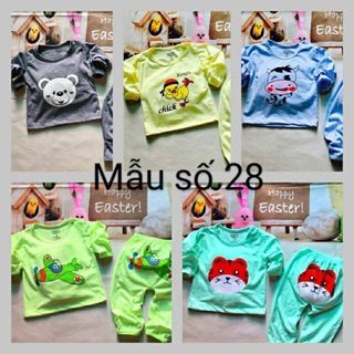 Combo 10 bộ carter cho bé