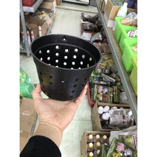 Combo 10 Chậu nhựa đen nhiều lỗ trồng Lan phi 17 cm