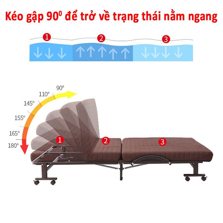 Giường xếp văn phòng đa năng Hàn Quốc HQ75