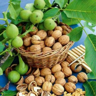 1kg quả óc chó đặc sản sapa