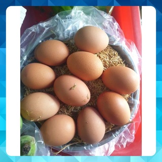Trứng gà công nghiệp 10 quả 38k. trứng vịt 48k 1 chục