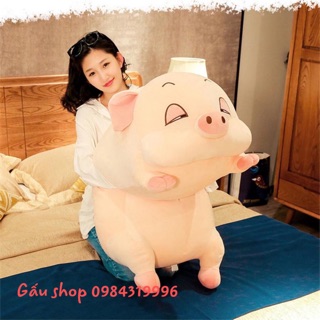 - heo mắt híp phê cần khổ 1m5