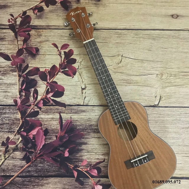 ĐÀN UKULELE CONCERT VIỀN ĐEN